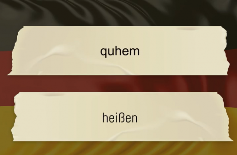 Useful sentences and expressions in German